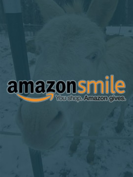 Amazon Smile