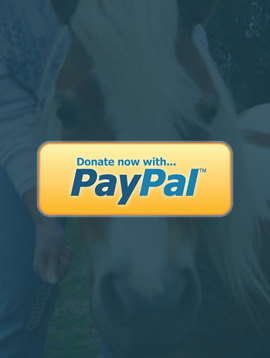 PayPal Donation